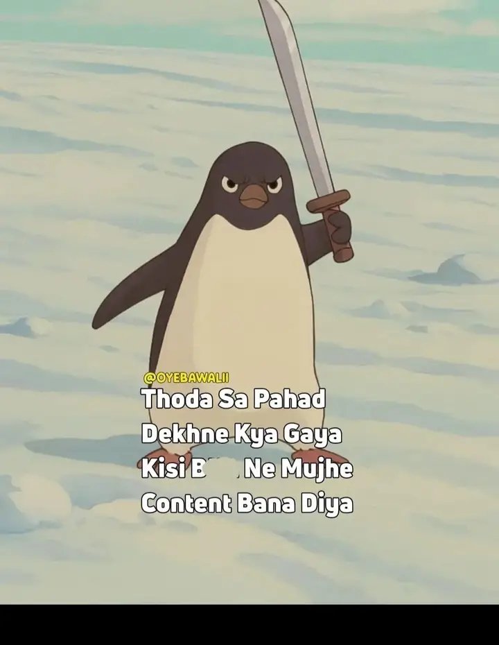 ParekhMohsin's tweet photo. 😅😅
.
.
.
#penguin #Pengu https://t.co/BBYEQVi1CT