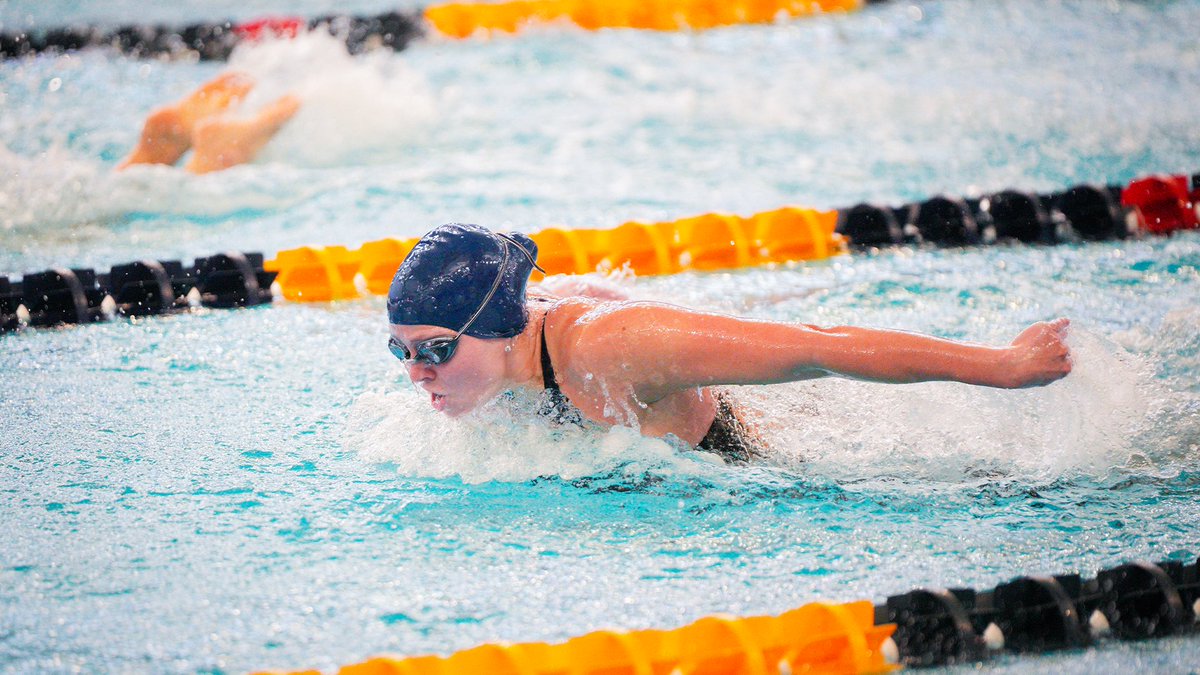 Duquesne Swim & Dive tweet media
