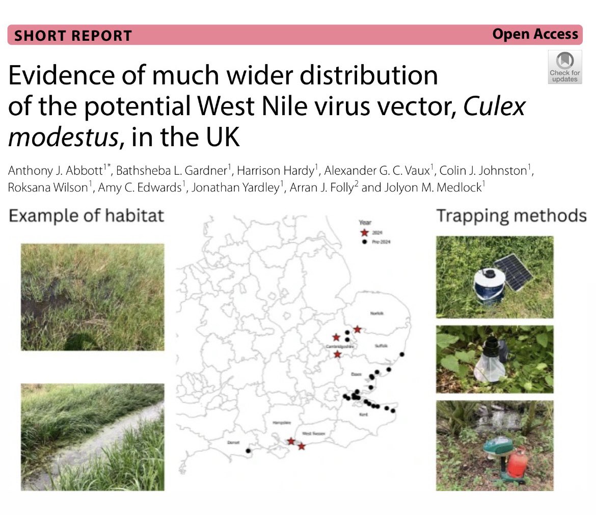 Rubén Bueno tweet media