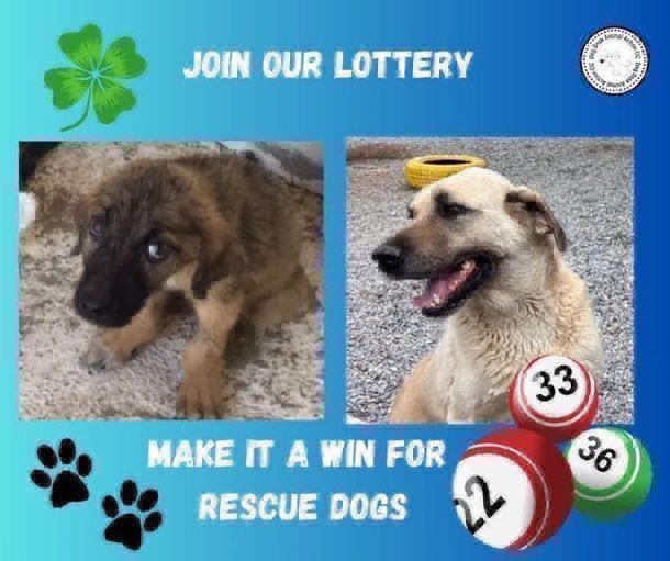 I’m a member of the <a href="/DogDeskAction/">Dog Desk Animal Action</a> Lottery.
Please join me for just £1 a week💕
Not only do you have a chance of winning a prize,you also help raise funds to look after the DogDesk #dogs 
Click the link below to join ⬇️

onelottery.co.uk/support/dog-de…

Thanks 🙏 
  #uk #WeekendVibes