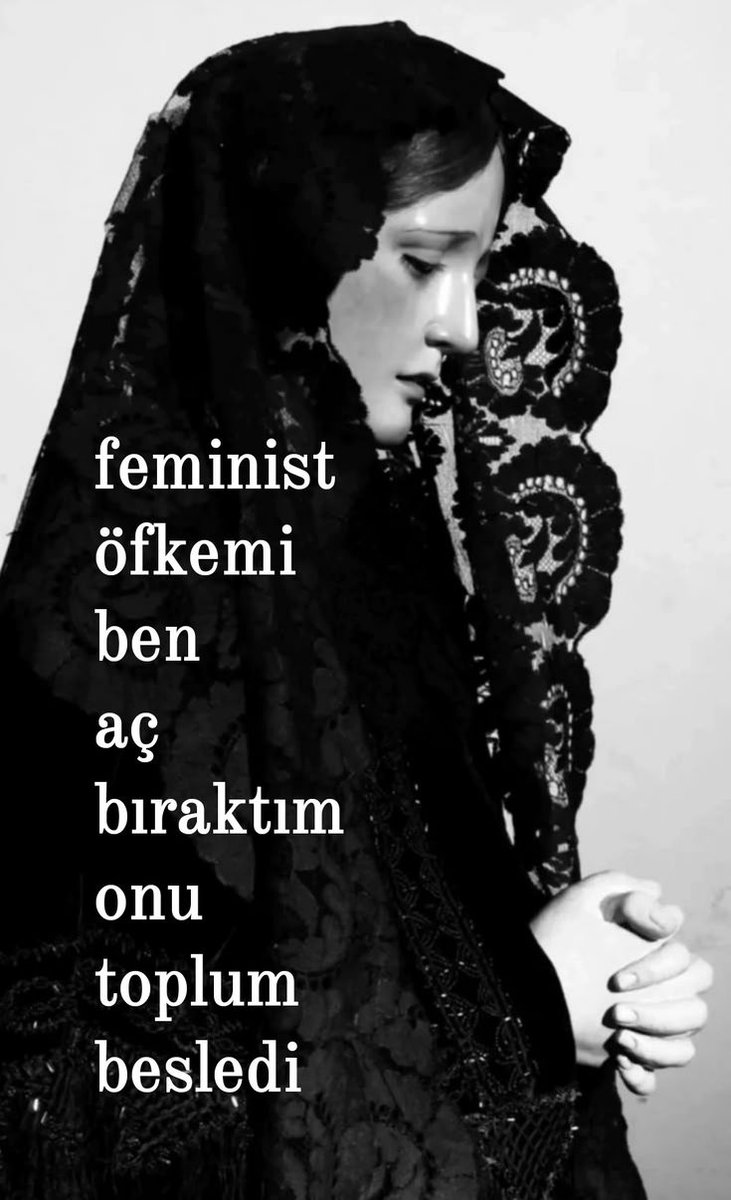 sofiscait's tweet image. 