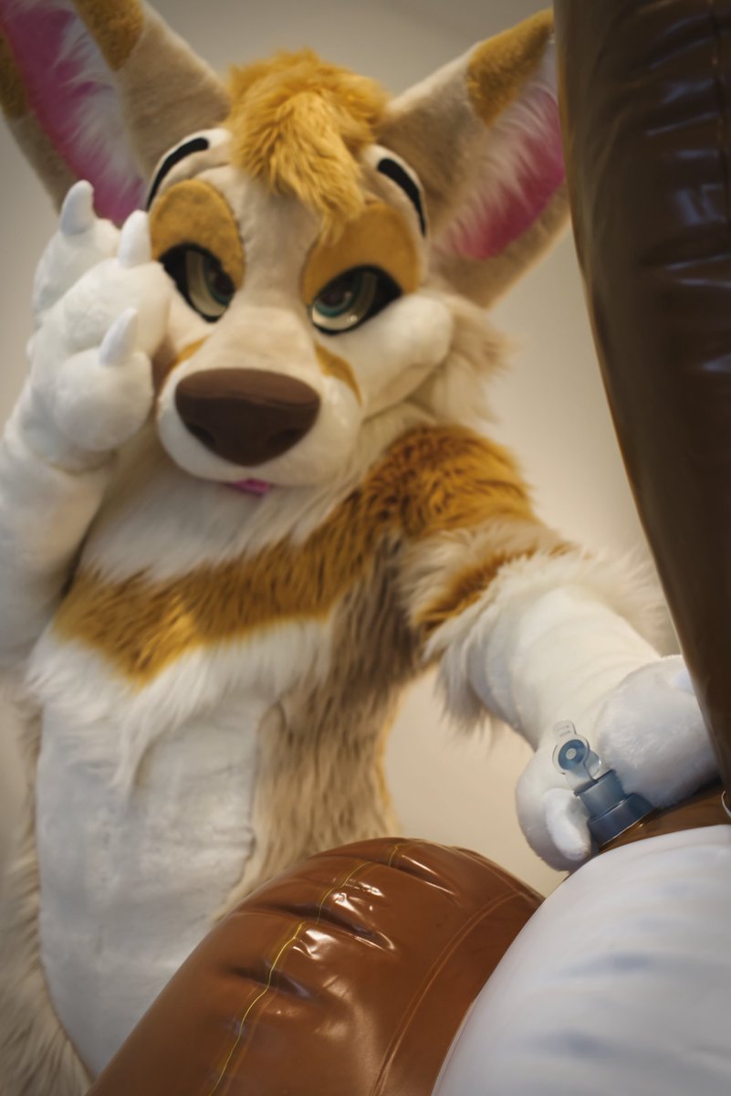 Queso ☀️ 🧀 🦊 tweet media