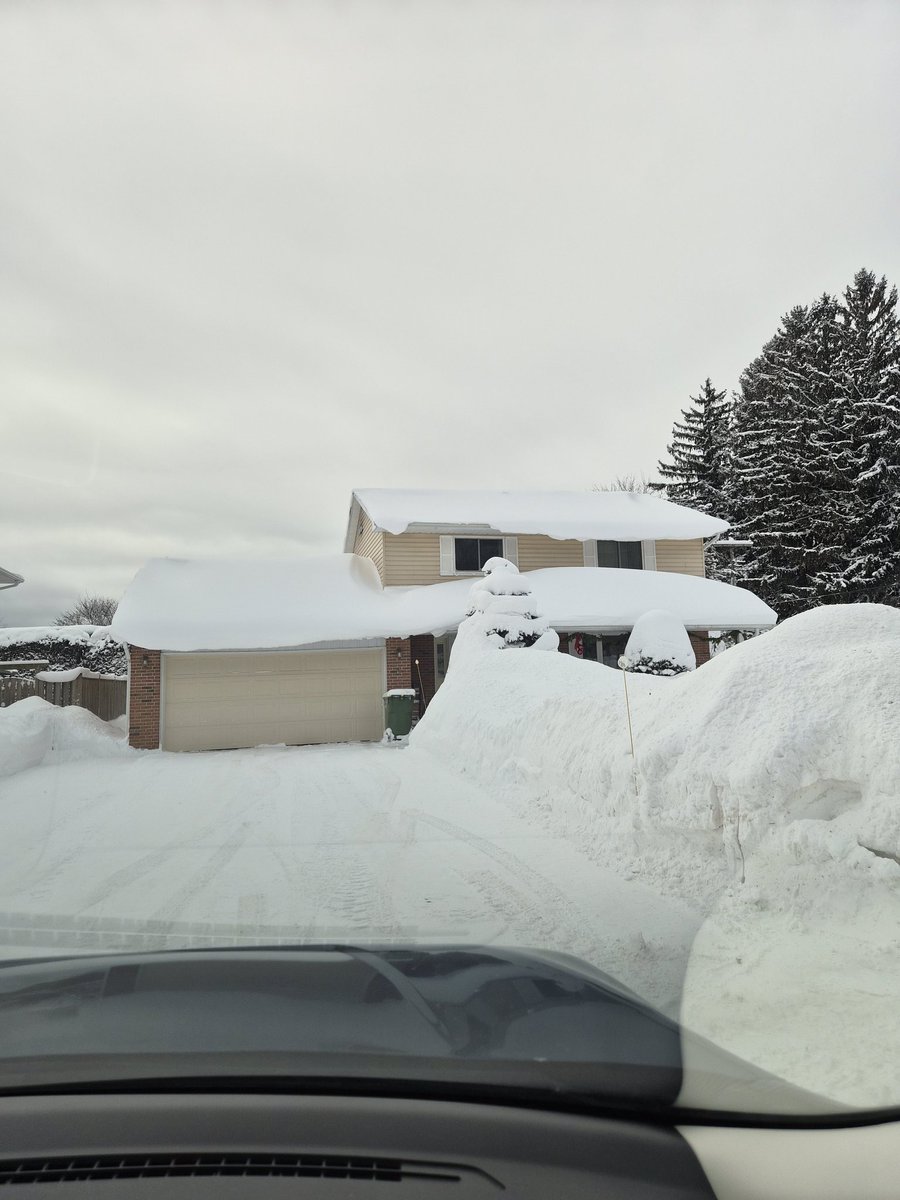 L herbert tweet media