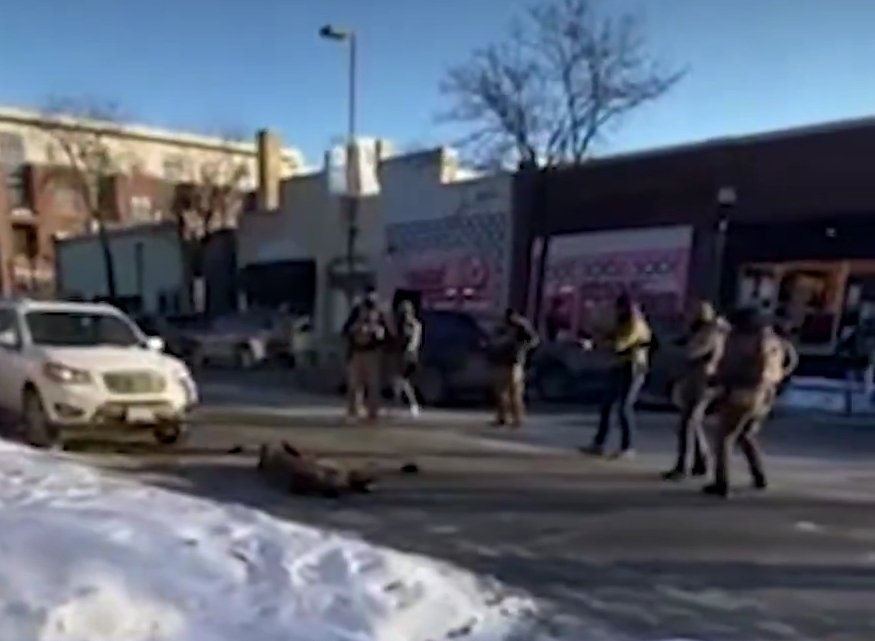 SVcrazycatlady's tweet image. Abolish the Gestapo!