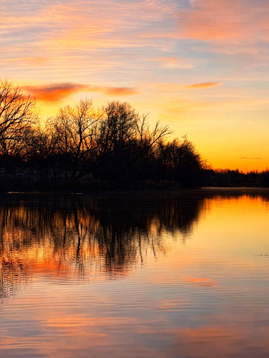 8ntmuch's tweet image. Enjoy seeing photos on 𝕏?  

Then let’s rewire the algorithm so it will start showing us more!

Post any photo for all to enjoy!  📸