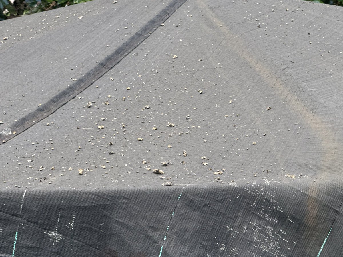 StayBlessed💞 tweet media