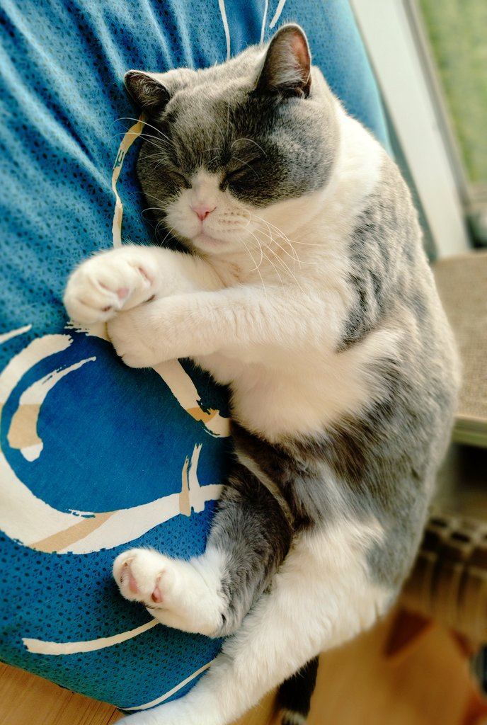 burihama (@an21020) on Twitter photo 