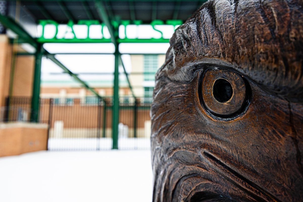 Mean Green Sports tweet media