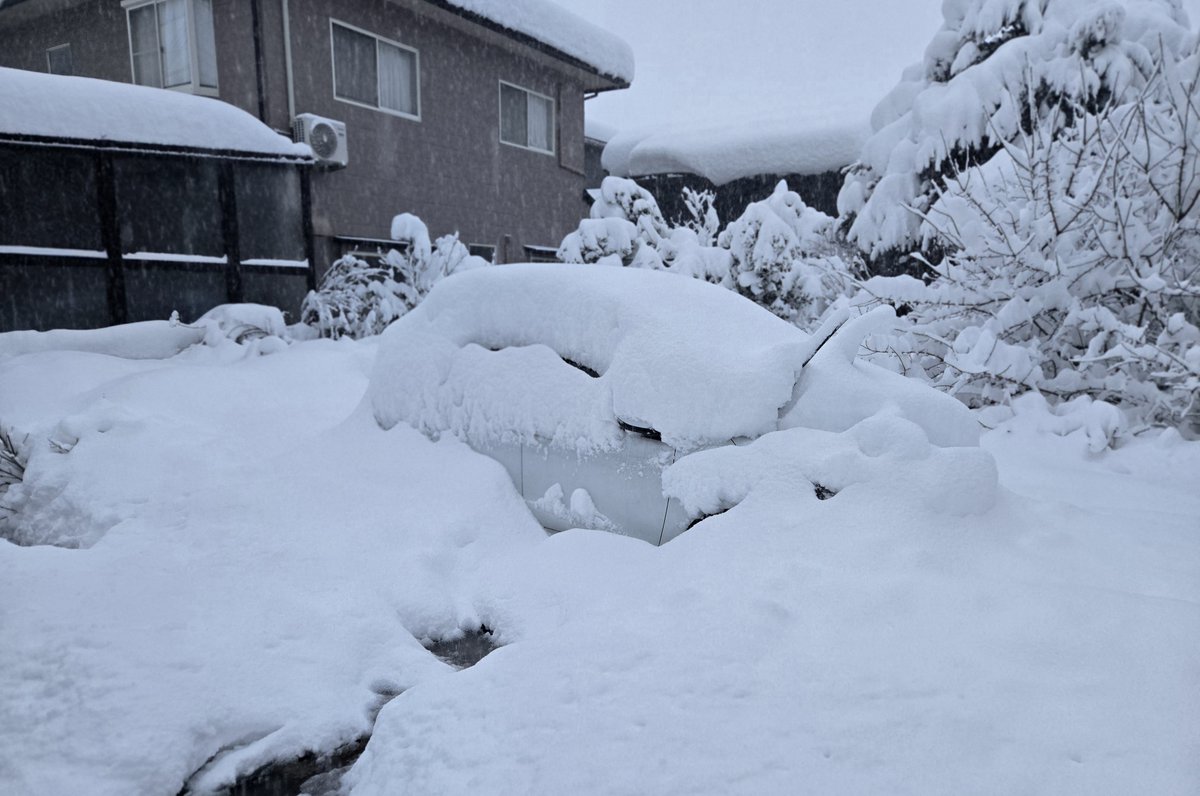 mao-camp tweet media