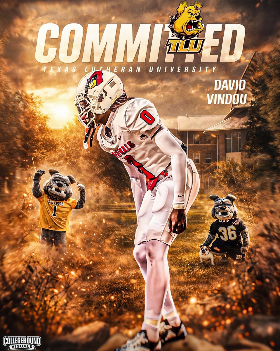 David Vindou tweet media