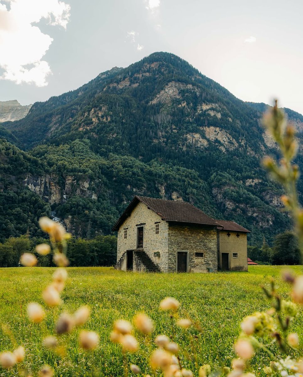 𝘄𝗮𝗻𝗱𝗲𝗿𝘁𝗿𝗮𝘃𝗲𝗹𝘀 tweet media