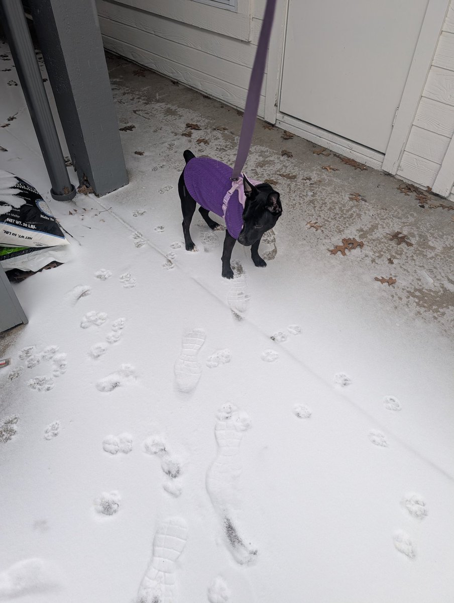 Jordan Nicole McCabe tweet media