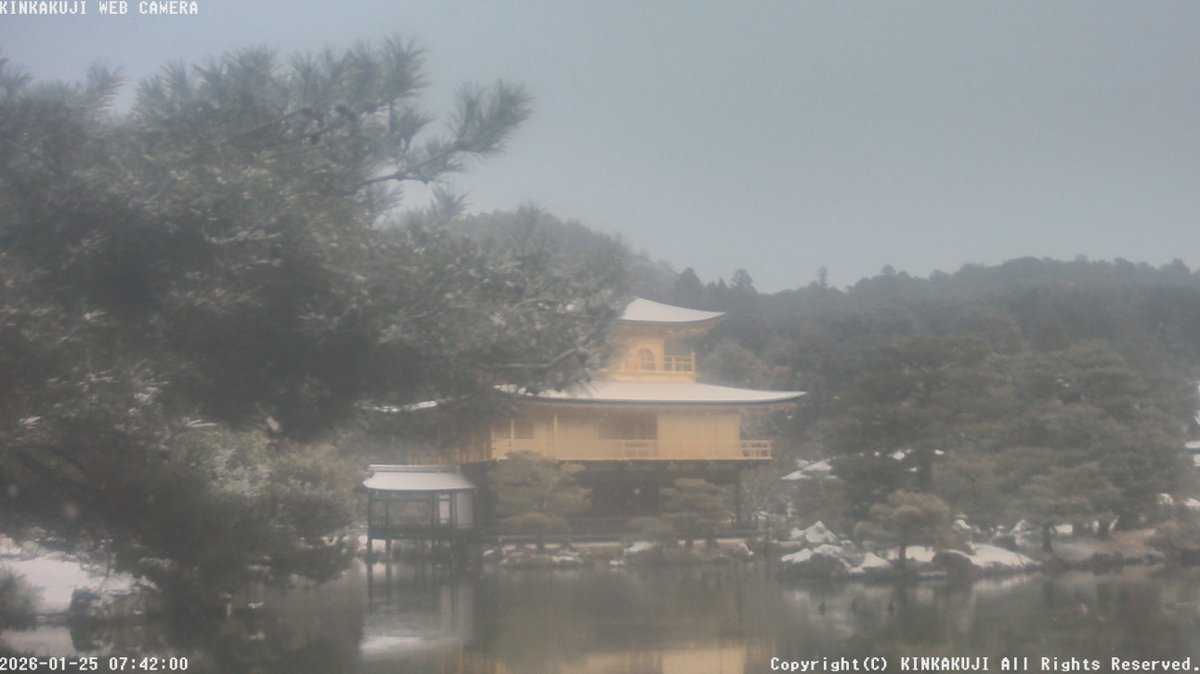 ❗️テレビで紹介された#ライブカメラ 国道8号佐和山トンネル南ライブカメラ(滋賀県彦根市古沢町) | ライブ