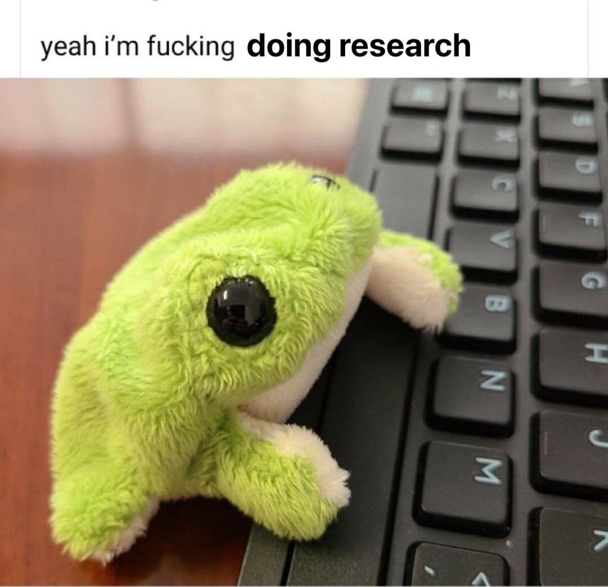 miniapeur's tweet photo. PhD students: https://t.co/s5bQJotxN5