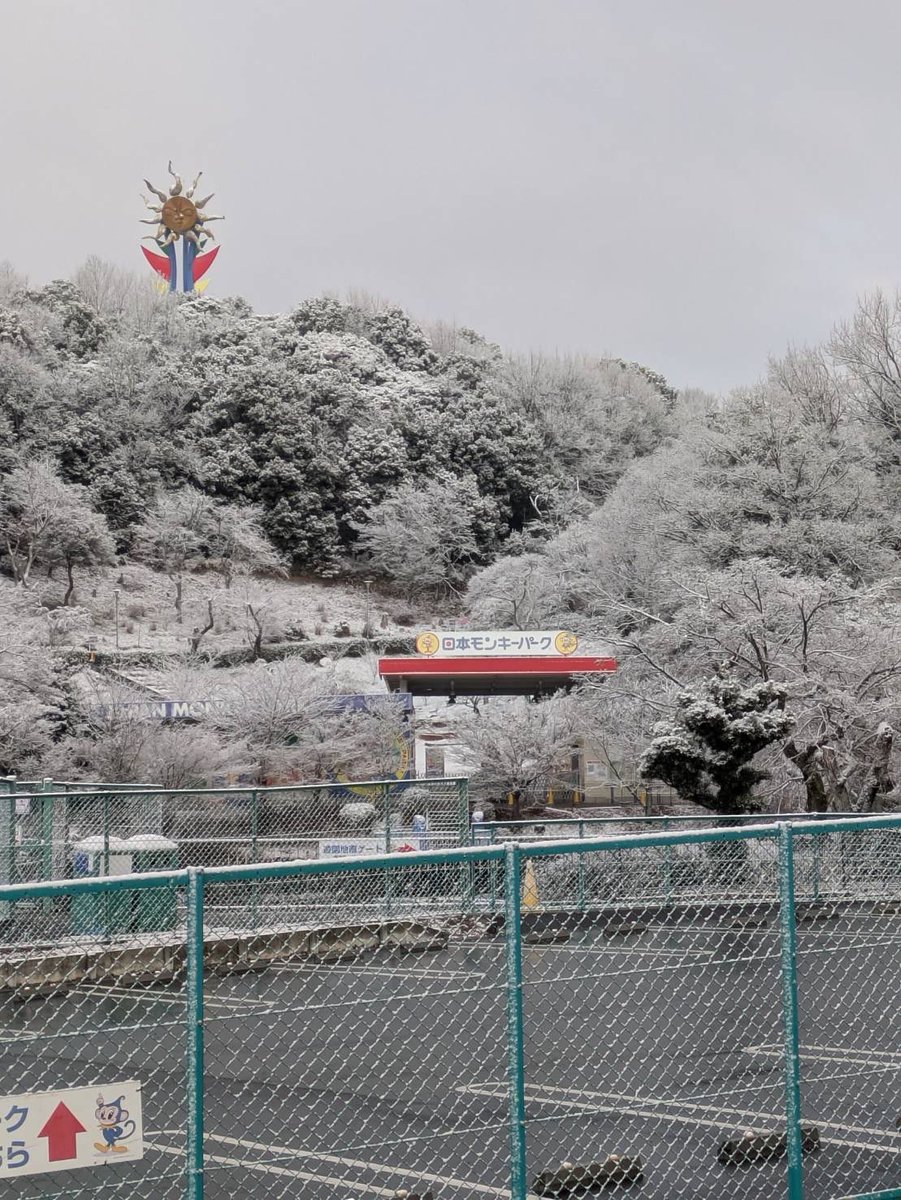 日本モンキーパーク【公式】 tweet media