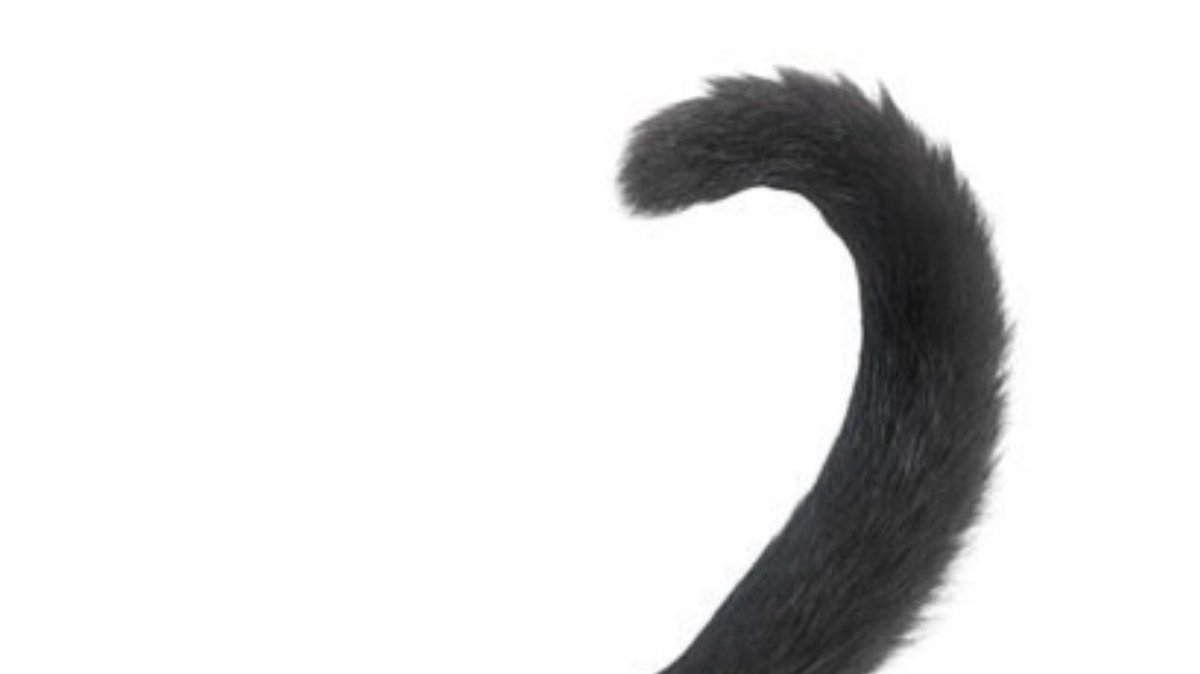 xogingox's tweet image. 