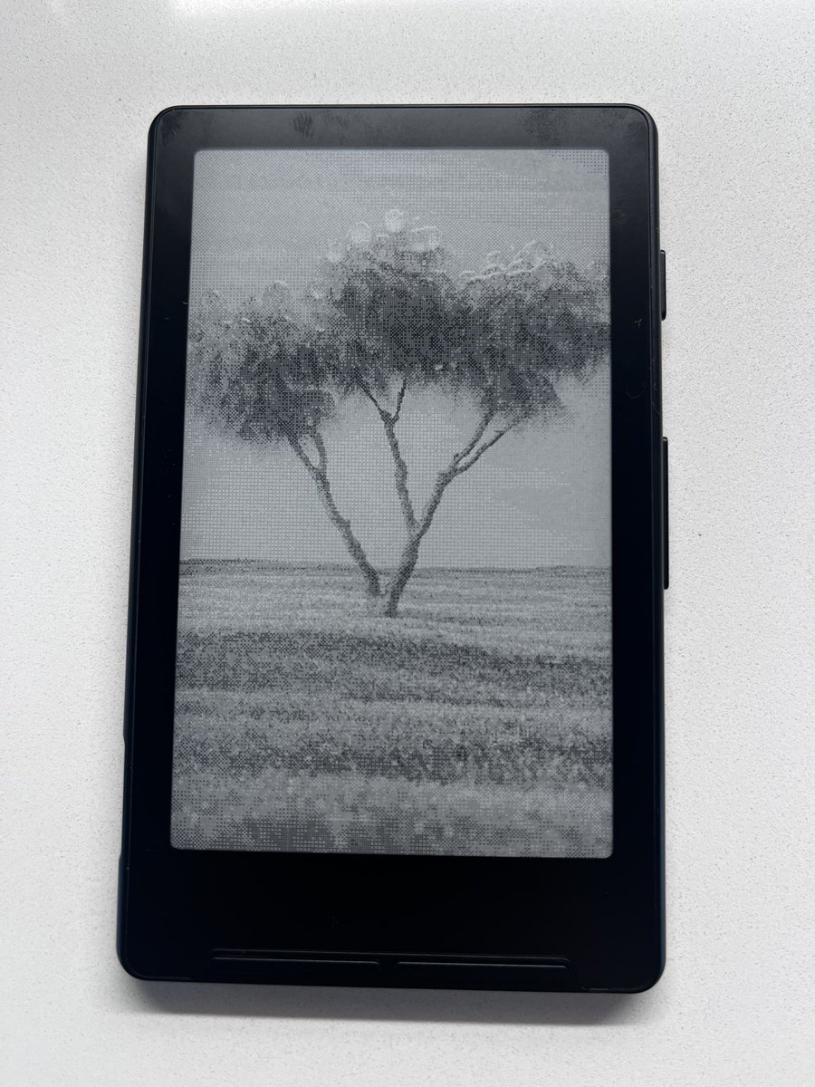 We are living in the era of custom software. 

Bought this little e-ink reader. Claude code : Created a bespoke firmware, had some of my artwork converted to .bmp, and downloaded a list of books I wanted from the web and converted them to .epub