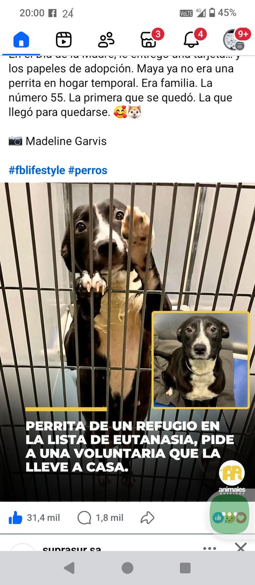 Porfavor alguien l puede tener por favor