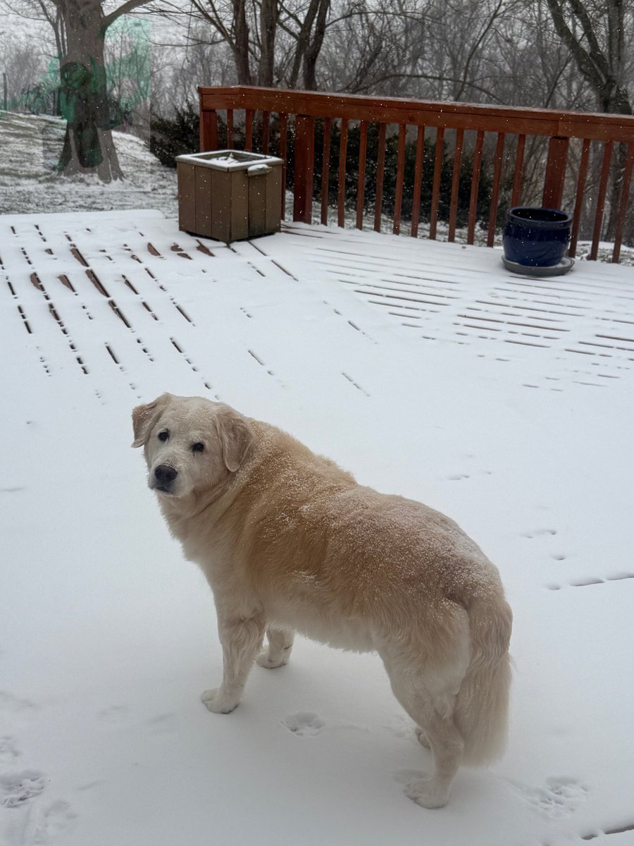 OddballWX tweet media