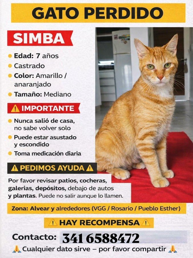 Ayuda Twitter Buscan a SIMBA
Gracias por ayudar💪