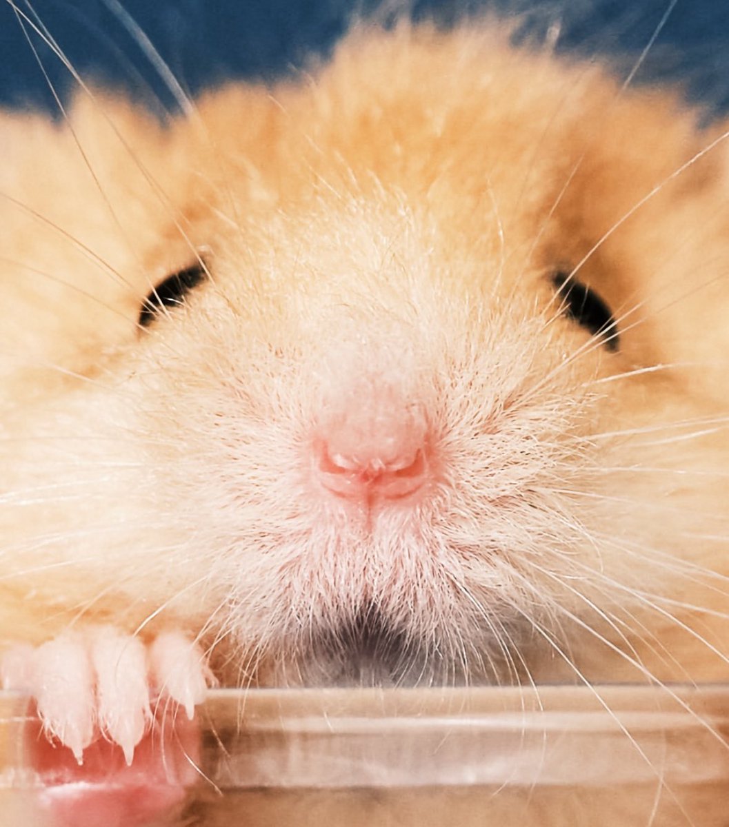 Colossal Biosciences® tweet media