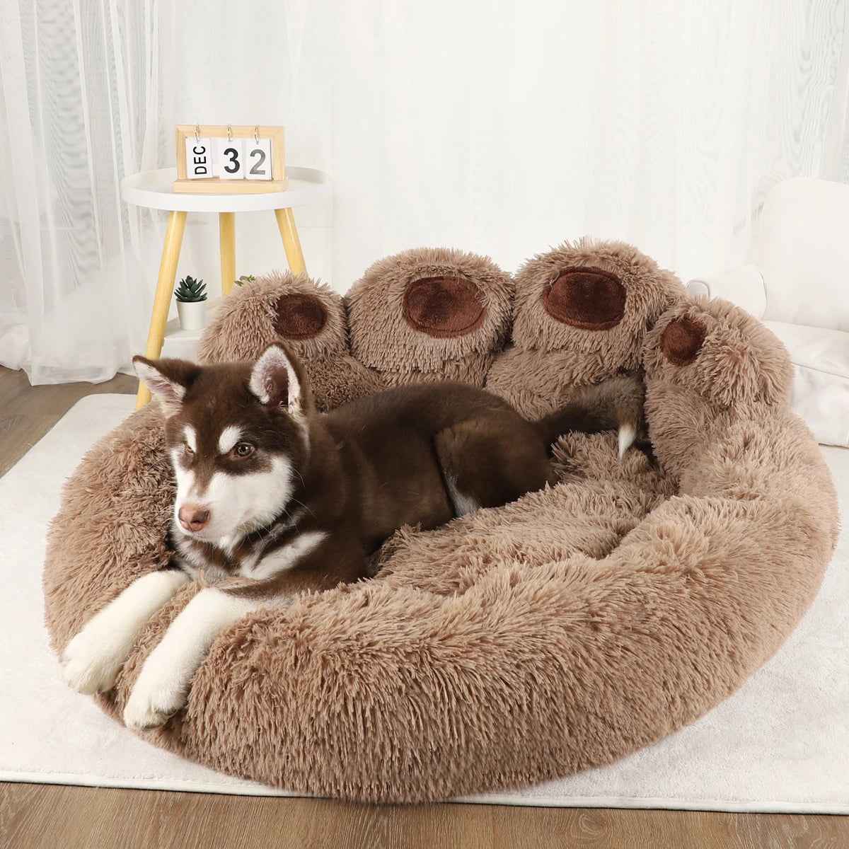 CordleJoe's tweet photo. Cozy Plush Washable Dog Sofa Bed: soft, insulated filling keeps pets warm, plush upholstery + removable cover for easy cleaning. Low-profile sofa shape supports natural lounging—practical, durable comfort for happy pets. https://t.co/lE57ImkbM2 https://t.co/SrvH4ZflYp