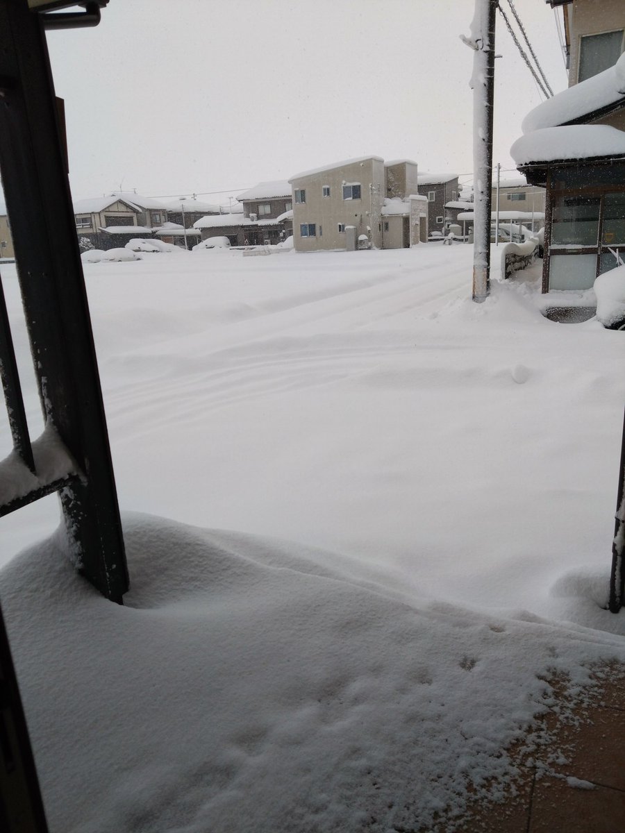 一晩でこの量やべぇｗｗｗ
60cmくらい積もってる＼(^o^)／

※玄関からそっと覗いてパシャリ風景