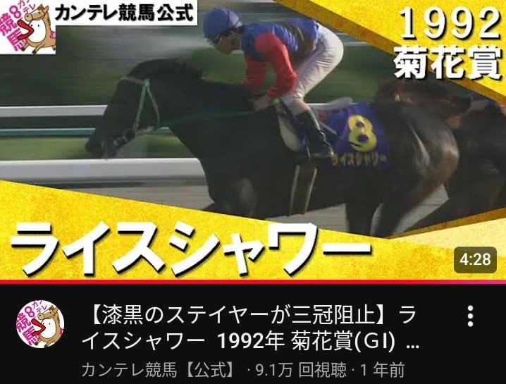 京都競馬場行く前にライスシャワーの菊花賞を見て、二冠馬