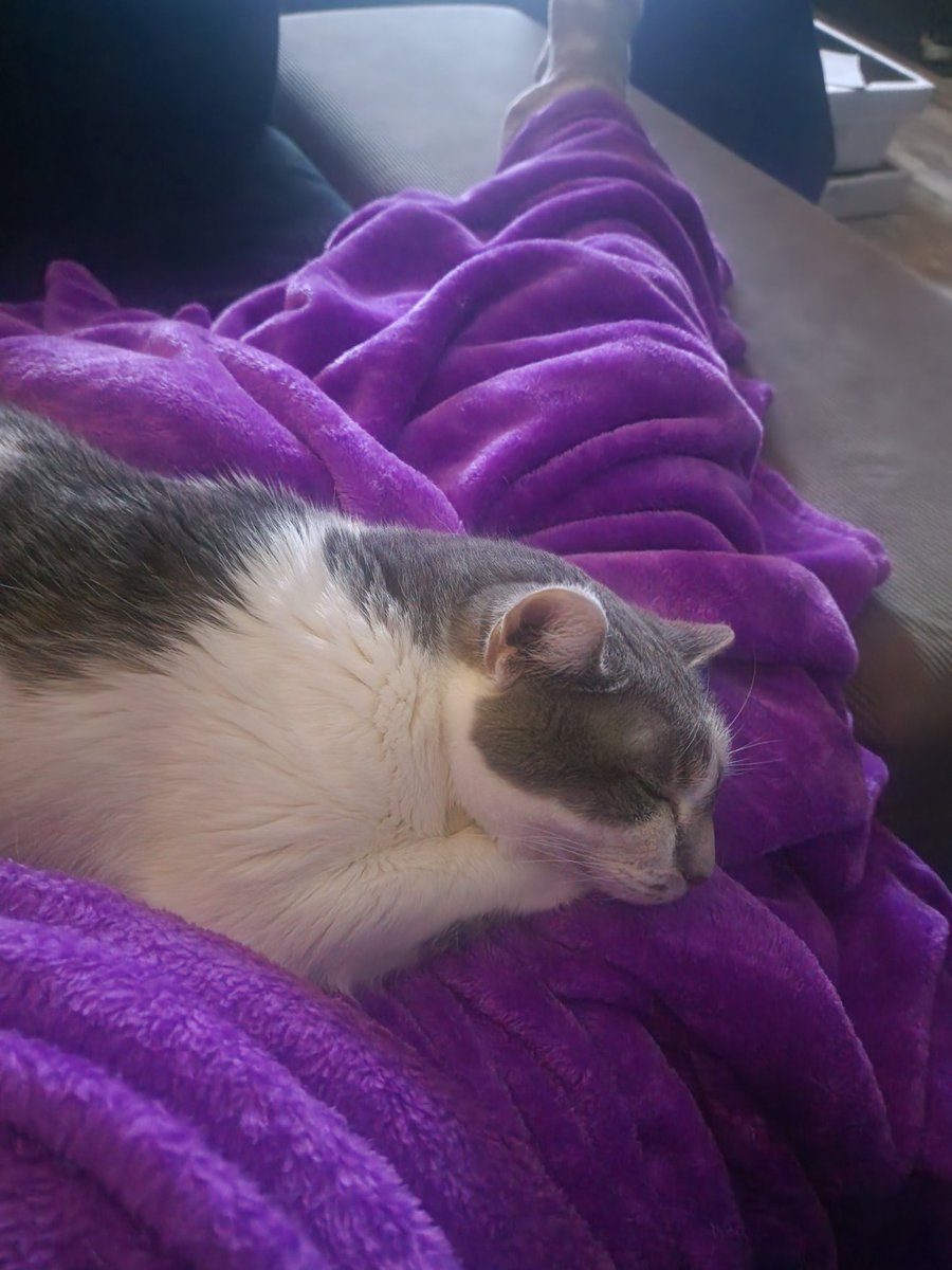 Only -3 outside today. Sasha and I watching movies....well I am. 😴