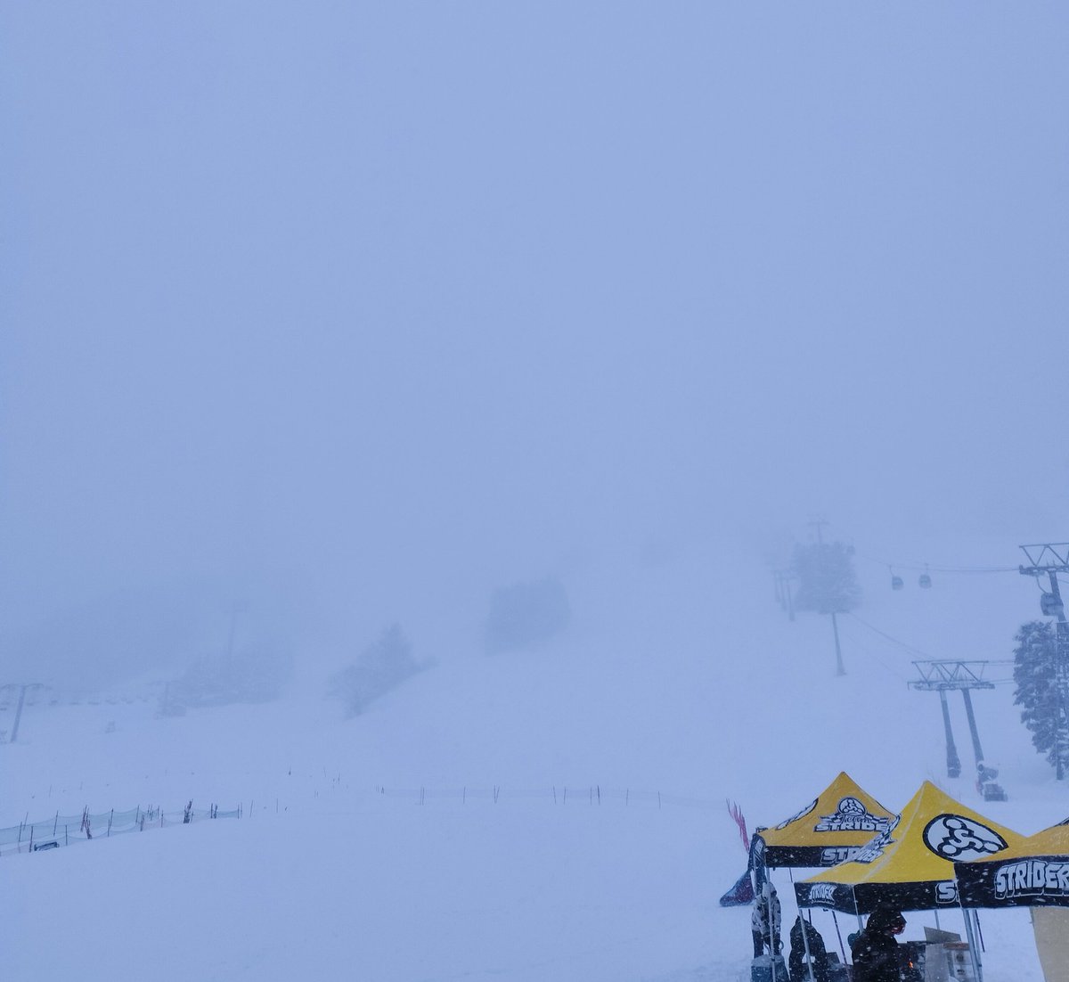 ストライダージャパン tweet media