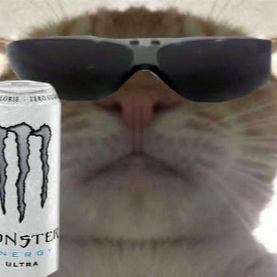 hyperborecat's tweet image. sip to ascend