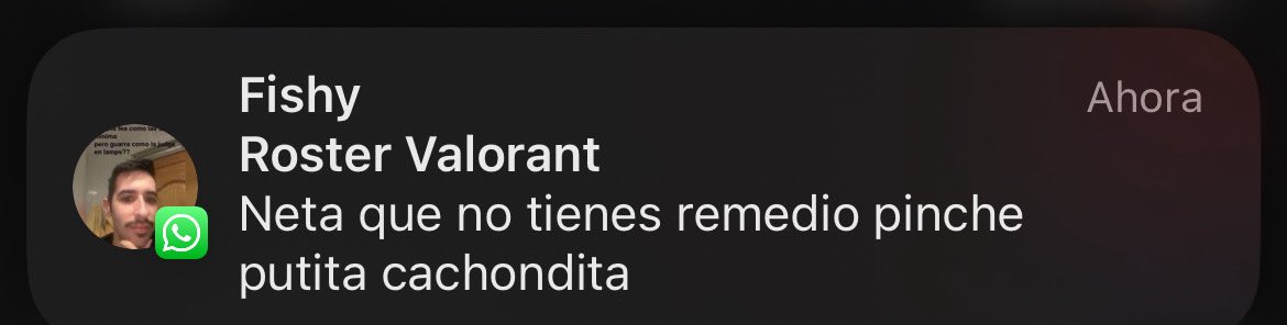 . <a href="/Fiishyyi/">Fishyy</a> se puso raro el chat del equipo…