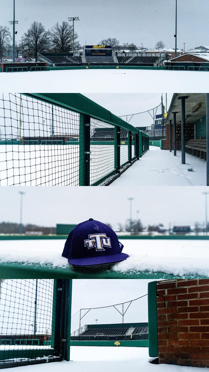 Tennessee Tech ⚾️⚾️ tweet media