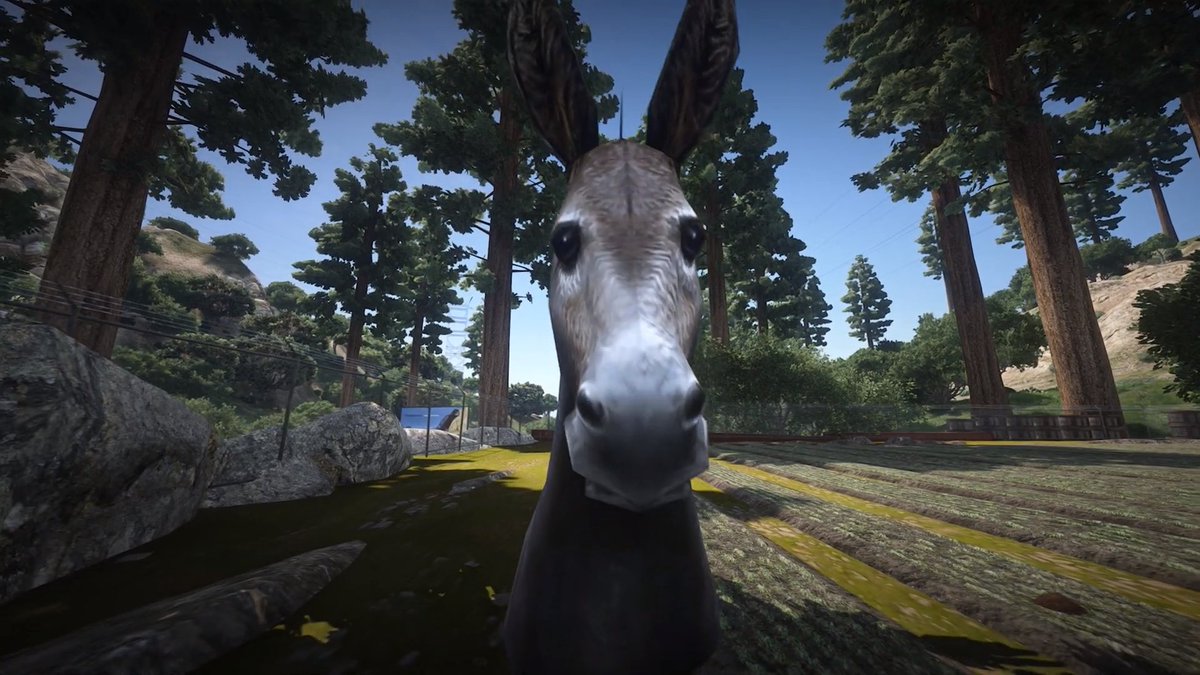 Animals City RP tweet media