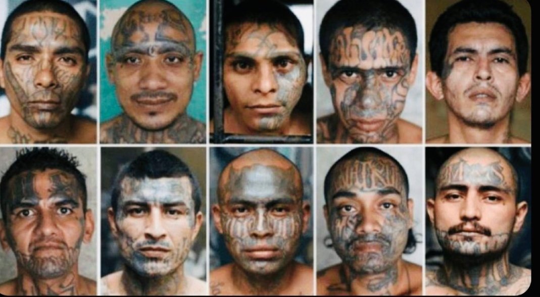 WillieDMack1's tweet image. Trump is Deporting Democrat Voters.