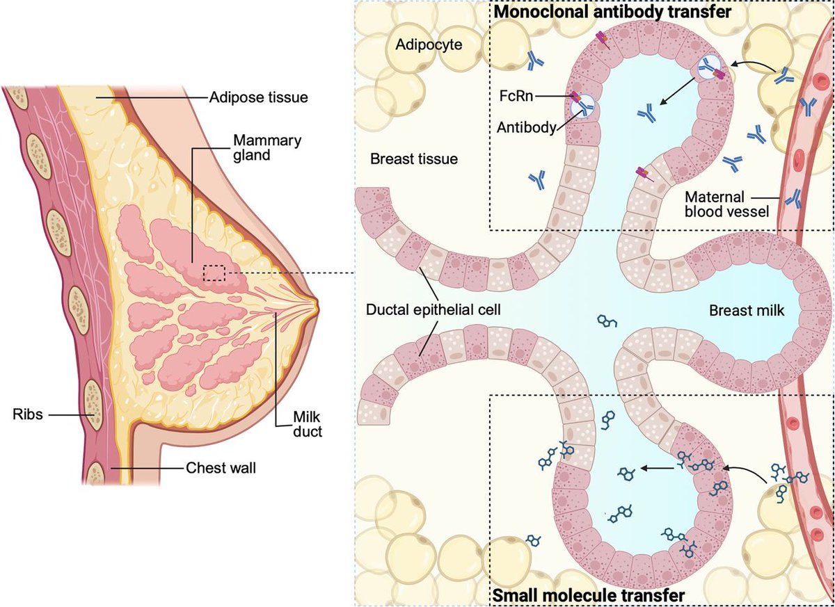 Gut Journal tweet media