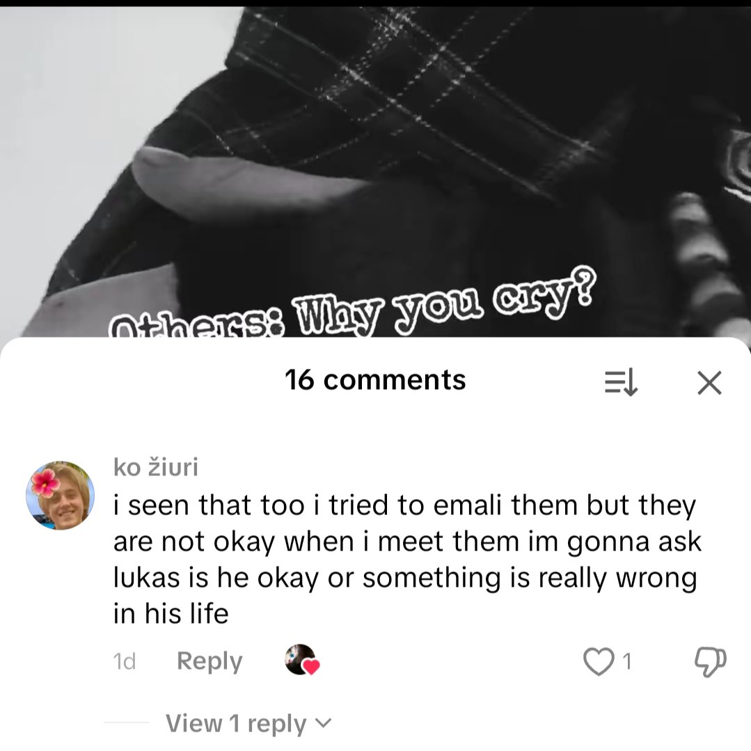 katarsis struggles tweet media