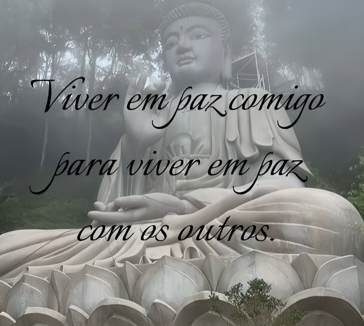 karlaecaos's tweet image. 