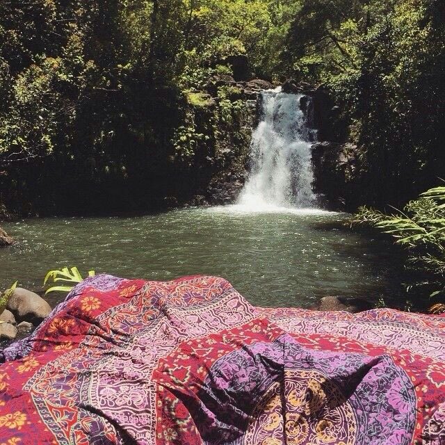 wisestwilliam's tweet image. shopped at the markets with mike in preparation for our picnic! mike truly is a gentleman. he carried our luggage the entire way and helped me set up. it’s nice to have him near for he is great company and help!

@michaelsoaths