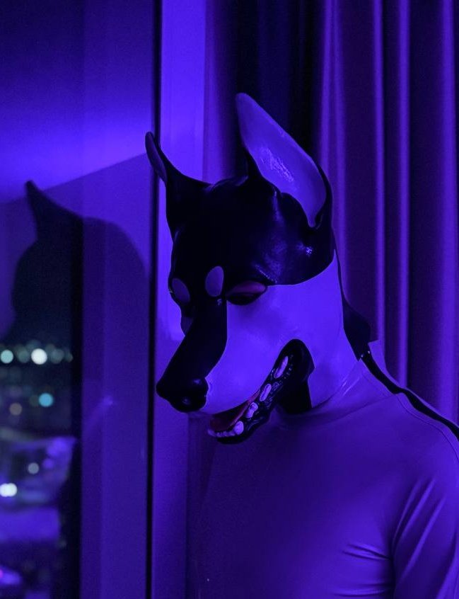 Made sure to get some good pics of this <a href="/animalz/">Kristine Solms</a>.bsky.social outfit!
<a href="/SnapJawForge/">SNAP JAW</a> 
#latex