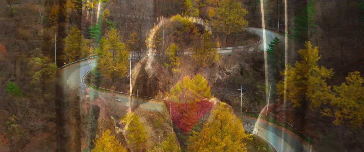 aqibm_'s tweet image. No other choice (2025) — dir. Park Chan Wook
Real director and cinema is back