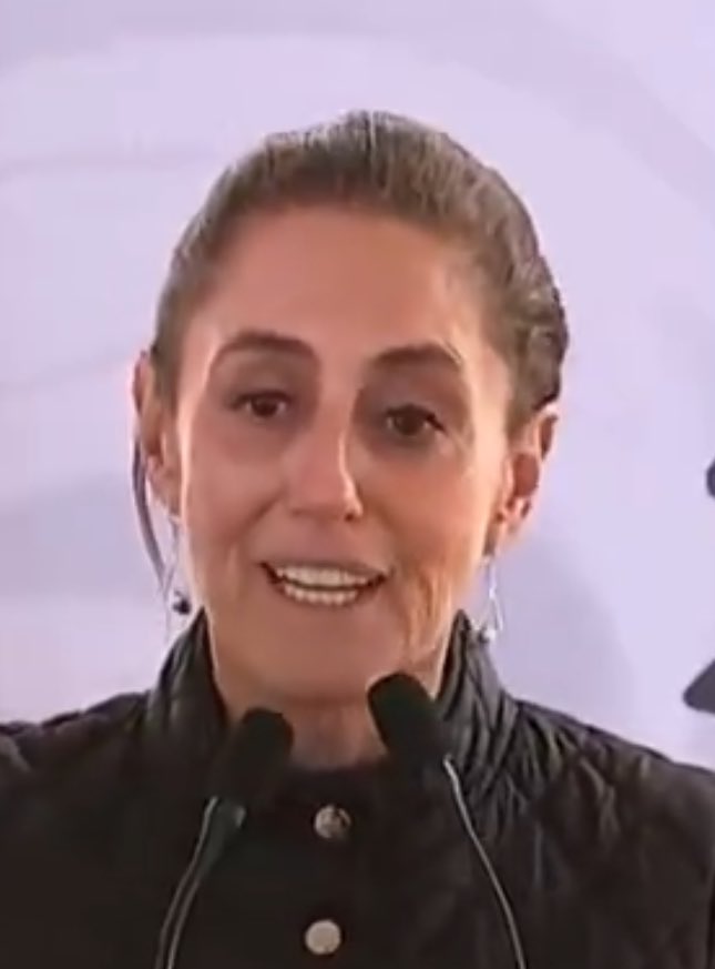 ElmaMadow's tweet image. En estas últimas semanas envejeció 10 años, esta tipa definitivamente es corrupta pero nada comparable a la corrupción y putrefacción del kks. 
Por pura salud mental debería empezar a entregar a algunos morenarcos.