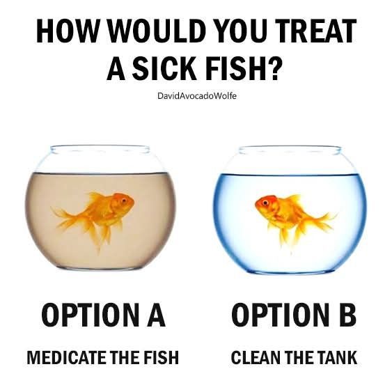 myhiddenvalue's tweet image. If we cleaned our environment we wouldn't need the pharmaceutical industry