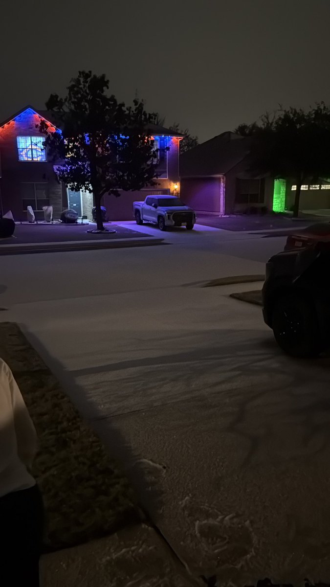 kind zon (penusaur) tweet media