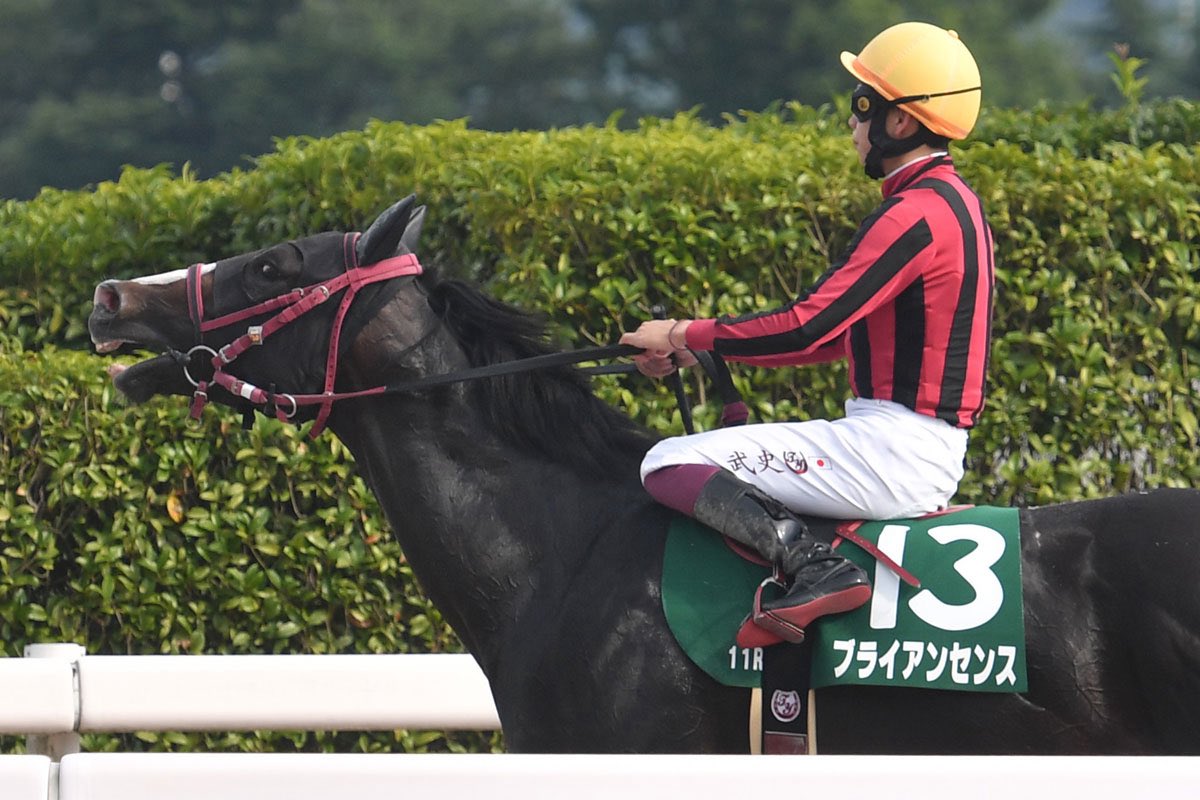 ojuchannel's tweet photo. 【G2プロキオンS 最終見解】
◎ブライアンセンス
⇒2走前のHレベルみやこSは馬体重＋14キロ、道悪でイン有利な中、外を周るロスがあり度外視。

【みやこS】
1着ダブルハートボンド⇒G1チャンピオンズC🥇
2着サイモン���ナドゥ
3着ロードクロンヌ⇒G2浦和記念🥈
4着ラムジェット⇒G1チャンピオンズC🥉
6着ブライアンセンス
7着アウトレンジ⇒G1東京大賞典🥉、G1チャンピオンズC5着
8着デルマソトカゲ⇒G2浦和記念🥉
9着シゲルショウグン

そして叩いた前走Ｌ師走Sは斤量58.5キロ背負い6馬身差の圧勝。
2着馬ヴァルツァーシャルが次走斤量60キロ背負いOPポルックスS2着に好走していることから決してメンバーレベルも低くなかった。
3走前のシリウスSは5着だったが、勝ち馬と0.4秒差。
斤量58.5キロ背負っていたことを考えると全く悲観することない。
ハンデ戦から別定戦に変わるのもよく、
能力さえ発揮出来れば勝ち負けの存在で本命に。

穴ハピ
⇒前走のLベテルギウスSはスタートでアオリ最後方からの競馬。
直線は進路を切り替えるロスがあり、斤量59キロ背負っていたこと考えると
勝ち馬と0.6秒差は悲観しなくていい。
2走前は今回と同じコース、トップハンデで完勝しており展開次第で通用する力はあり穴馬に。