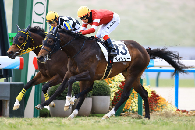 E3%83%95%E3%82%A7%E3%83%BC%E3%83%B3%E3%82%B0%E3%83%AD%E3%83%83%E3