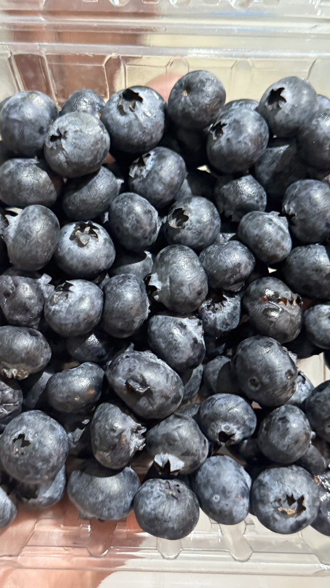 MaresaPrez's tweet photo. Ok, pero Pau me hizo comprarle blueberries 🫐 porque es fan de los frutos rojos 💞. https://t.co/dPF3kpQMYM