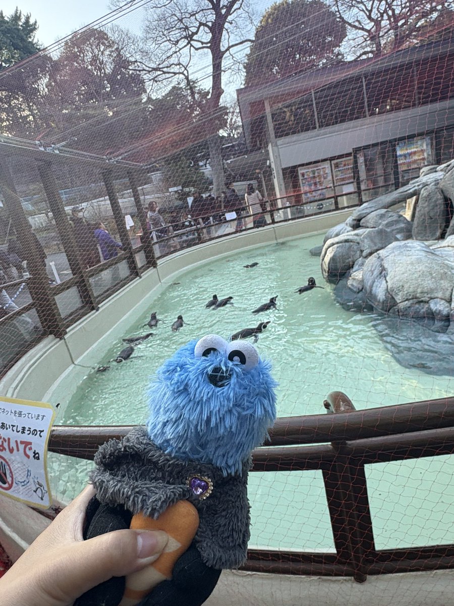 あーちゃん tweet media