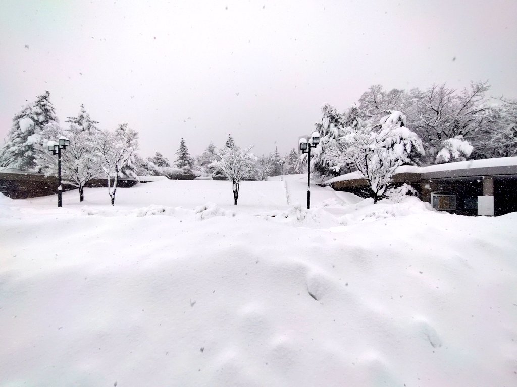 risuneKo6247's tweet photo. 金沢大学はQ4の必修科目に雪山登山が必要になることをシラバスに記載するべき https://t.co/37lTV2jkTz
