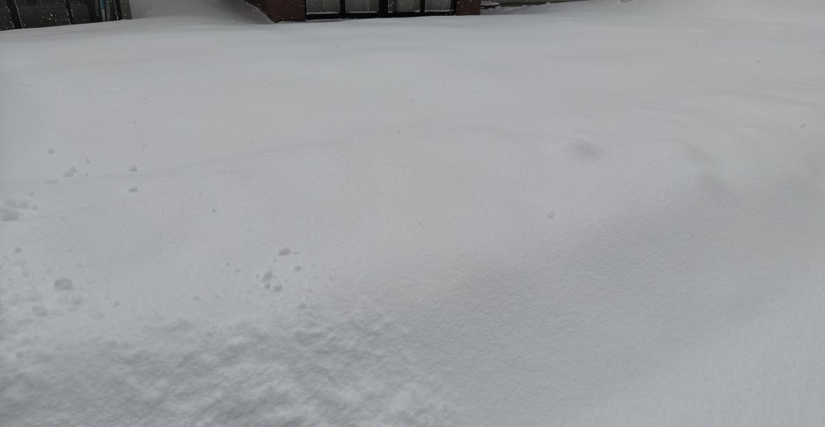 雪様 ニュース | AKT秋田テレビ